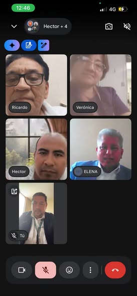 Captura de una videollamada de delegados de la Sección XIX con cinco participantes visibles.